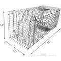 Gorąca wyprzedaż na żywo kota cage cage pułapki klatki